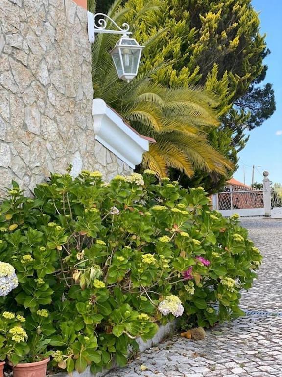 Villa Quinta Do Alto Dos Pinheiros São João da Ribeira Esterno foto