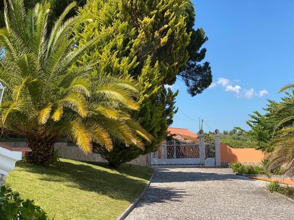 Villa Quinta Do Alto Dos Pinheiros São João da Ribeira Esterno foto